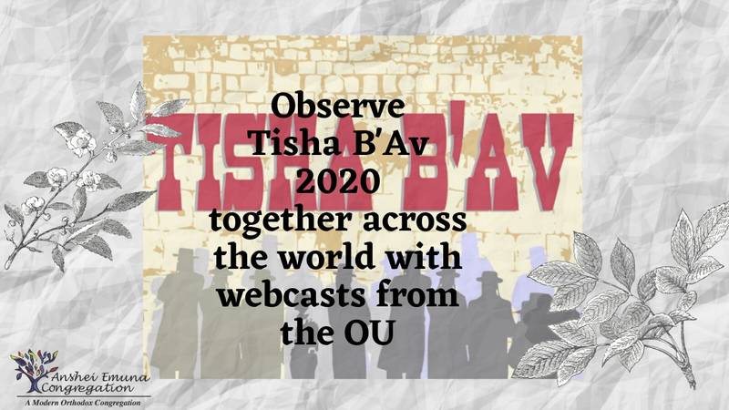 Banner Image for Observe Tisha B'Av with Webcasts from the OU